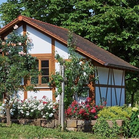 Winzerhof Woerner Apartment ดัวร์บาค ภายนอก รูปภาพ