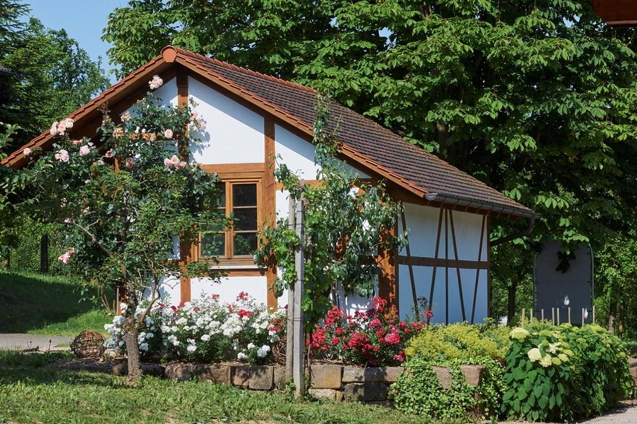 Winzerhof Woerner Apartment ดัวร์บาค ภายนอก รูปภาพ